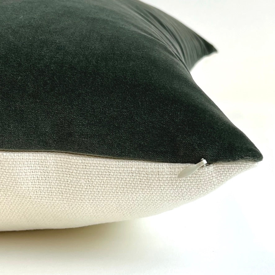 Jackson: Hemlock Cordoba Velvet (Limited)