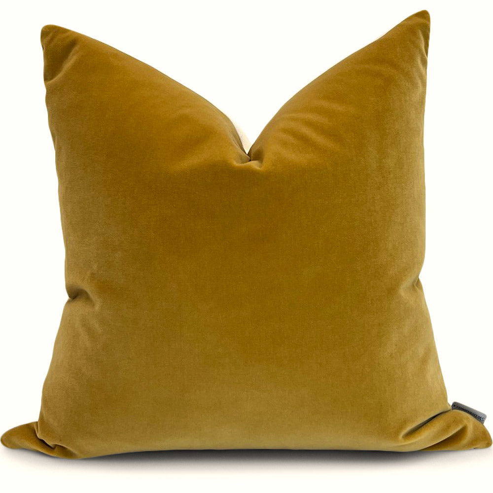 Jackson Brass Cordoba Velvet (Limited)