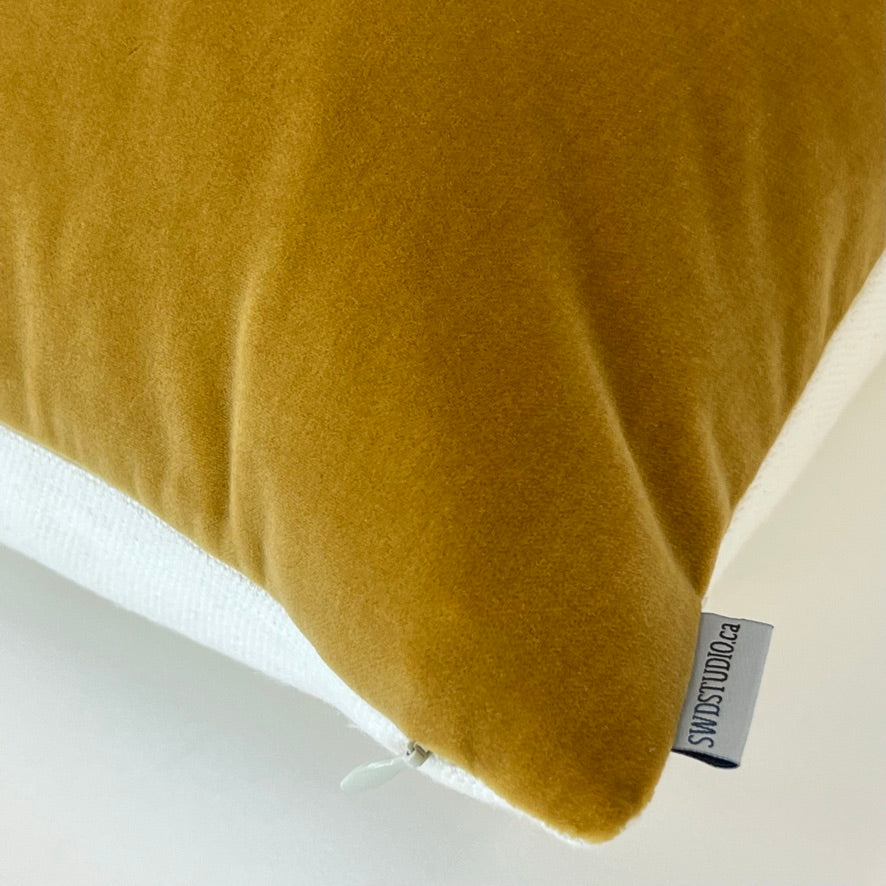 Jackson Brass Cordoba Velvet (Limited)