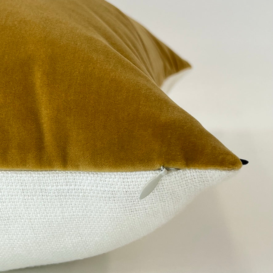 Jackson Brass Cordoba Velvet (Limited)