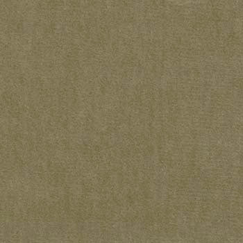Cordoba Velvet Sycamore Fabric Swatch