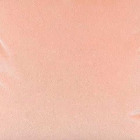 Tesoro Velvet in Blush Fabric Swatch